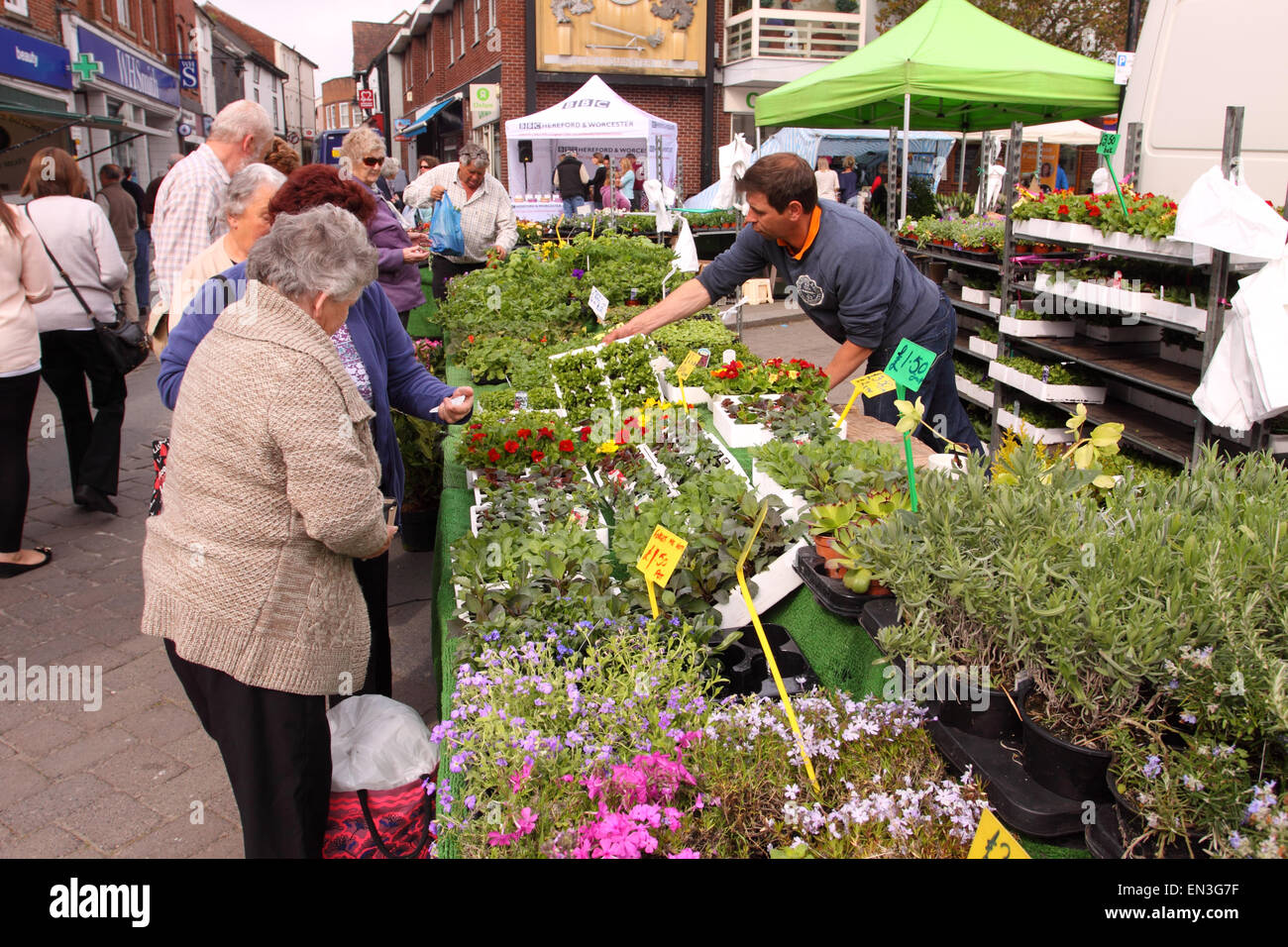 Leominster Herefordshire UK statt der wöchentliche Freitagsmarkt in Mais Square Blumenverkäuferin Stall mit Kunden im April 2015 Stockfoto