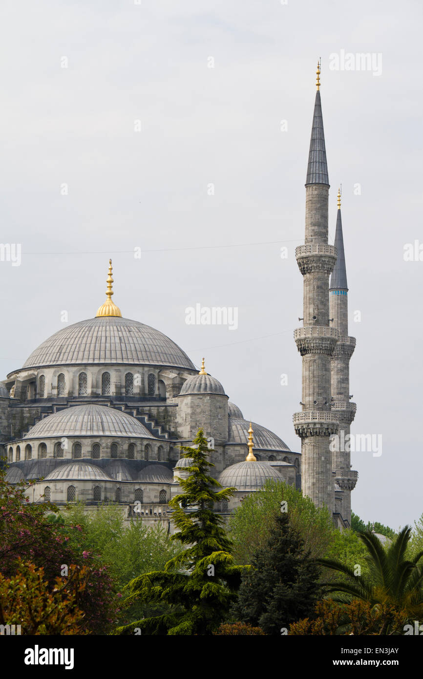 Türkei, blaue Moschee Stockfoto