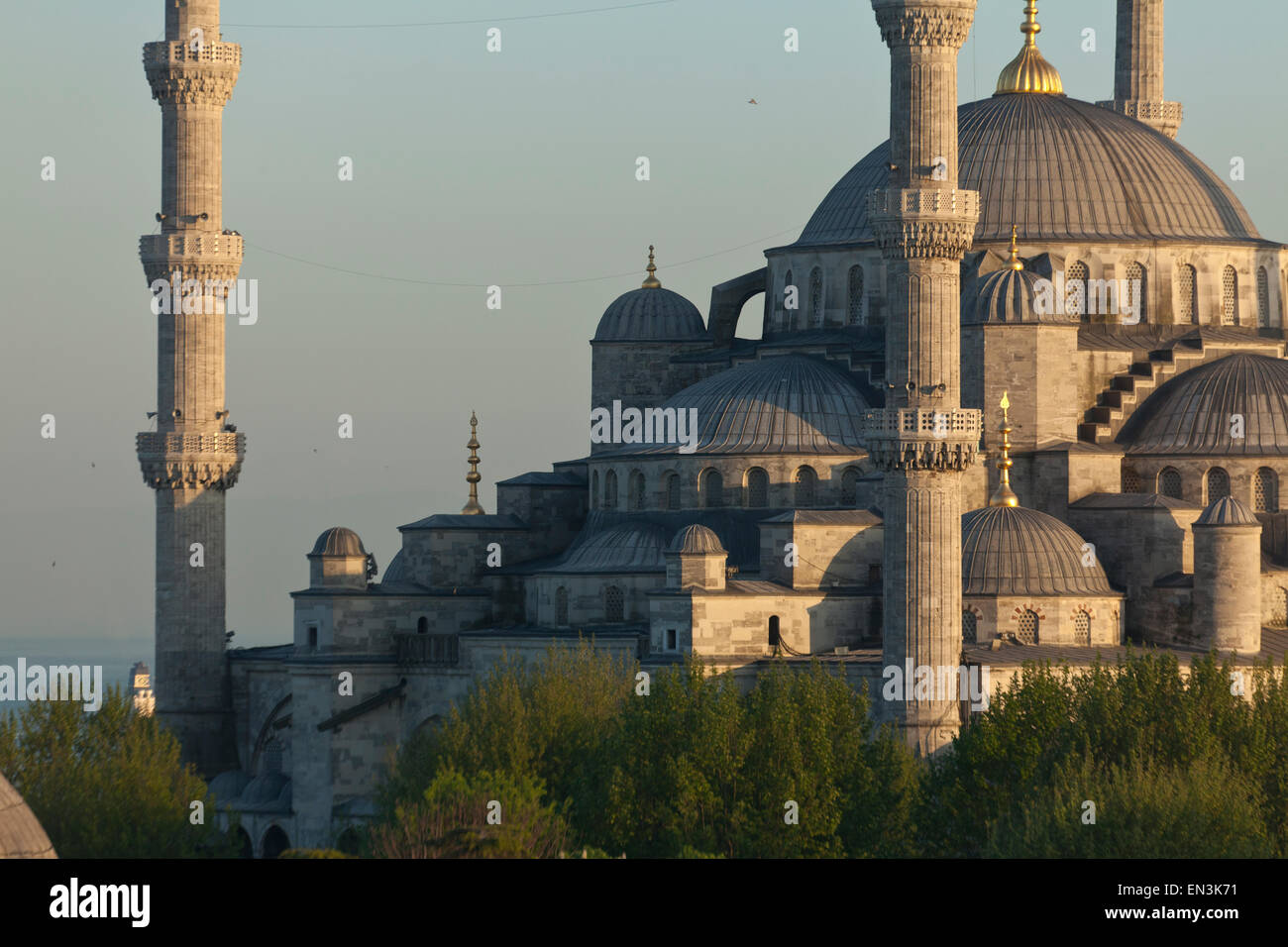 Türkei, Istanbul, blaue Moschee Stockfoto