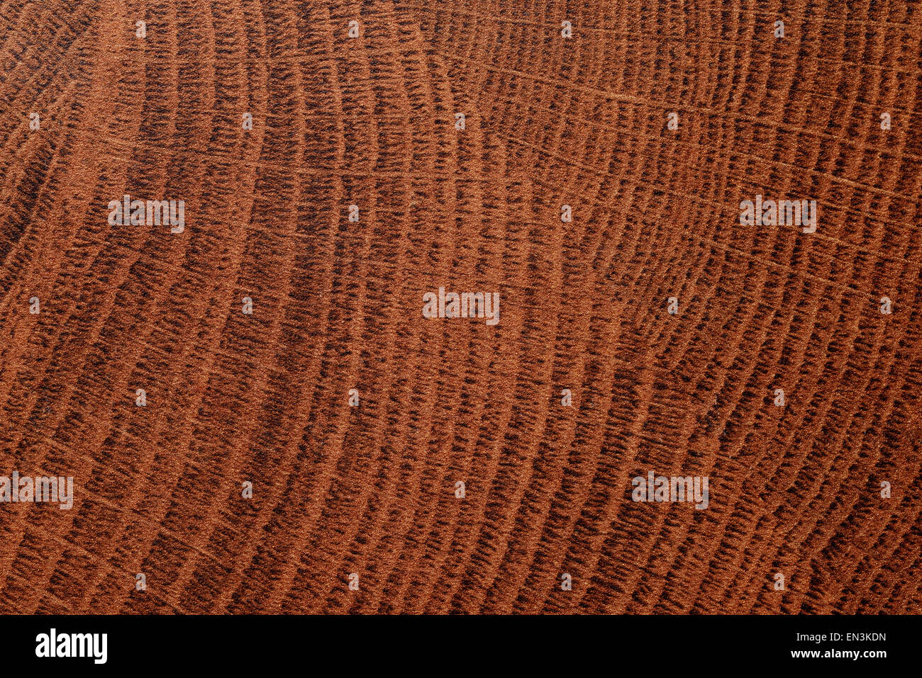 Natürliche Holzmaserung strukturierte Serie Stockfoto