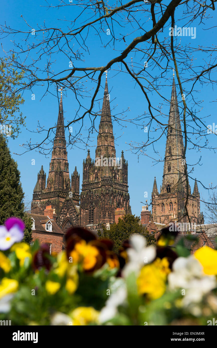 Die drei Türme der Kathedrale von Lichfield gesehen aus dem Garden of Remembrance in Frühling, Lichfield, Staffordshire, England. Stockfoto