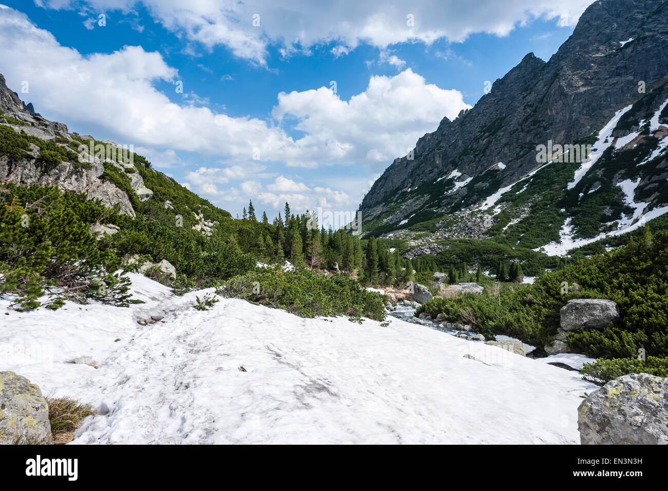 Tatry, Mala Studena Dolina. Bergtal im sonnigen Frühlingstag mit Schneeschmelze und frischen Grün der Bäume Stockfoto