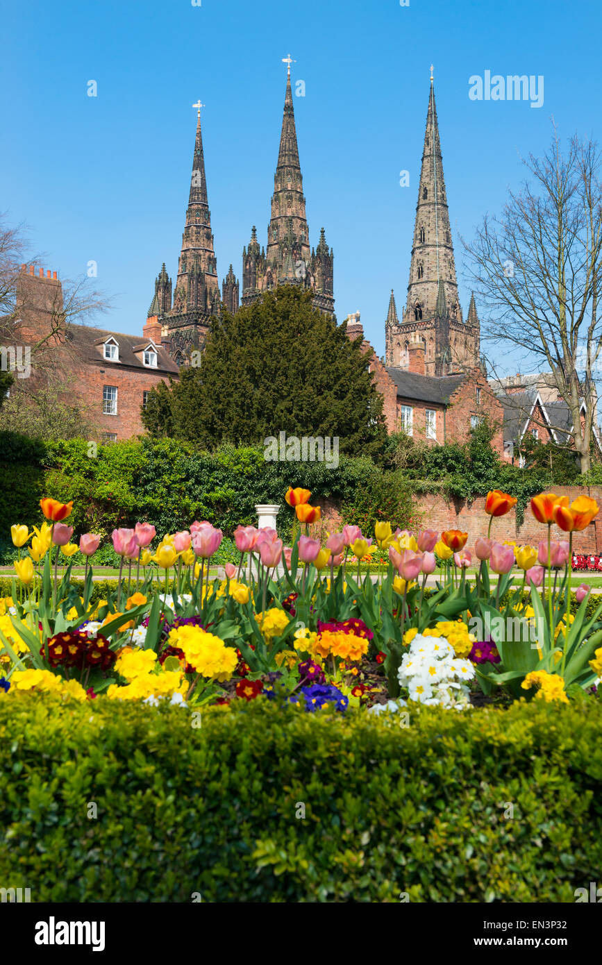 Frühling in den Garden of Remembrance in Lichfield, Blick auf die Kathedrale, Staffordshire, England. Stockfoto