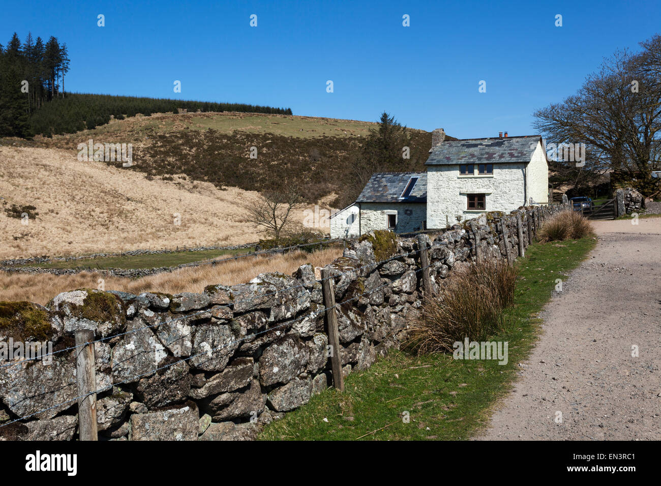 Typische Dartmoor Cottage Stockfoto