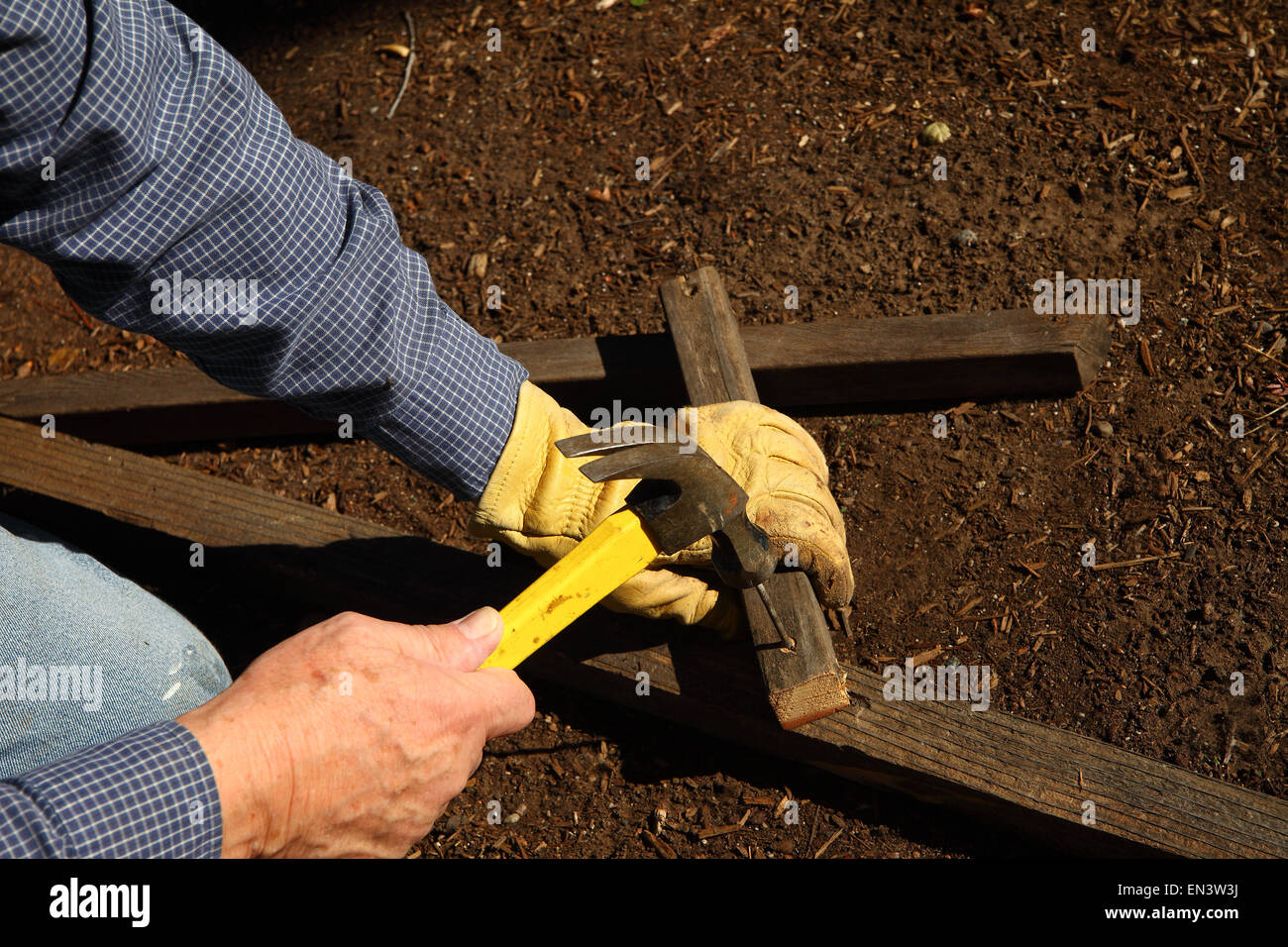 Ein Eigenheimbesitzer konstruiert ein stabiles Spalier für seinen Garten. Stockfoto