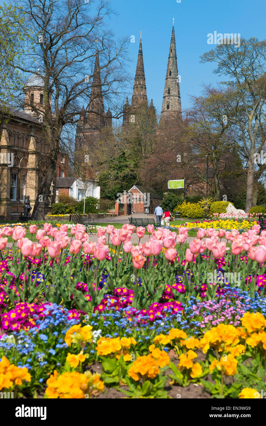 Frühling in Beacon Park, Lichfield, Staffordshire, England. Stockfoto