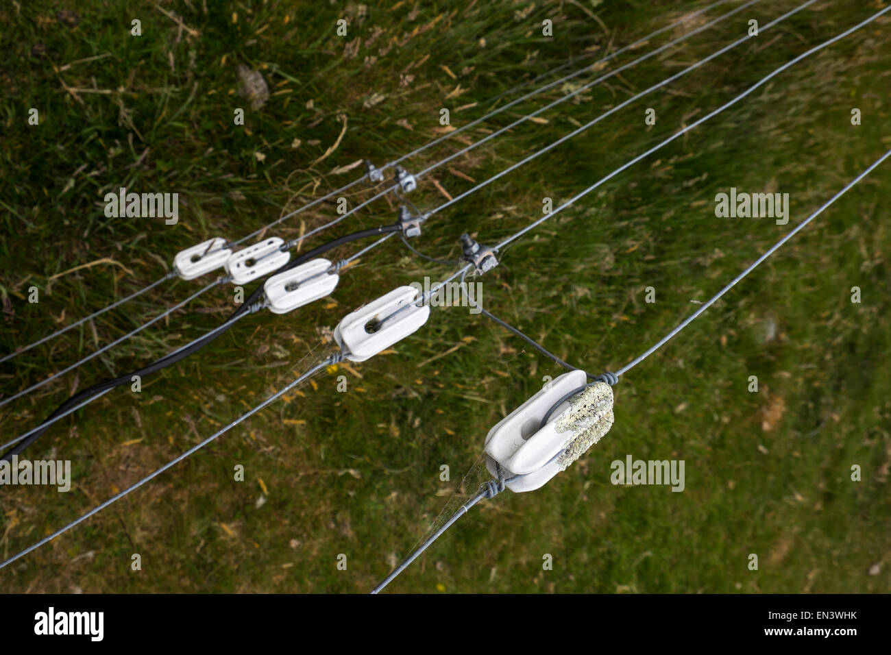 Weiße Keramik Isolatoren auf einem Elektrozaun auf Patuna Farm in Neuseeland. Stockfoto