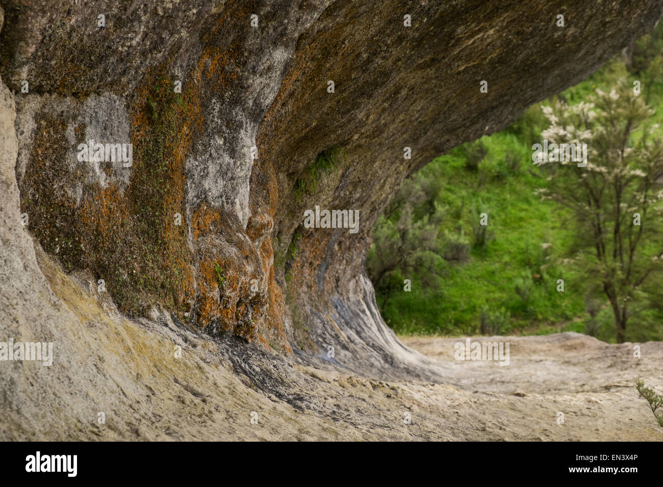 Wave Rock auf der Petuna Farm in Martinborough, Neuseeland. Stockfoto