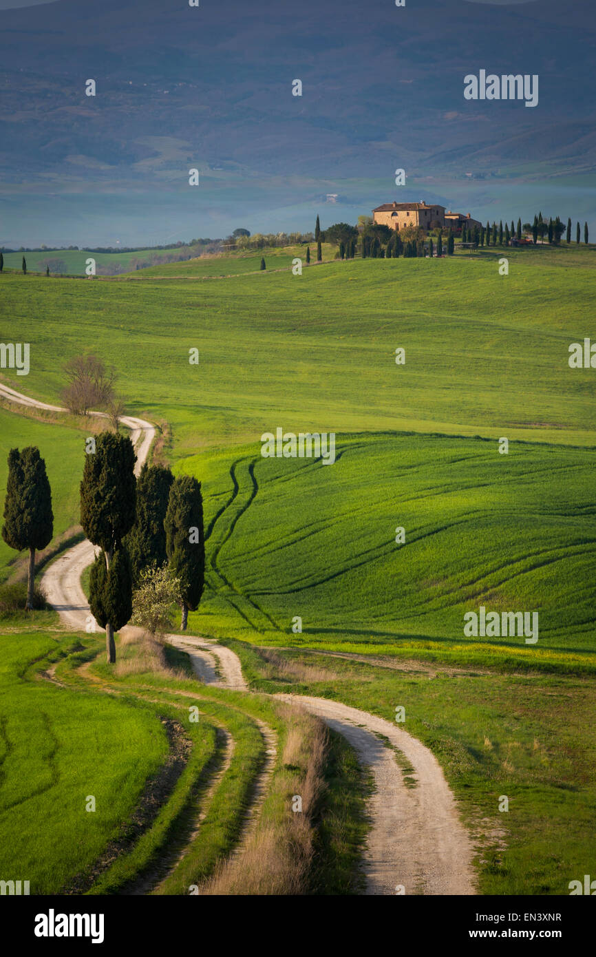 Zypressen und kurvenreiche Straße, Villa in der Nähe von Pienza, Toskana, Italien Stockfoto