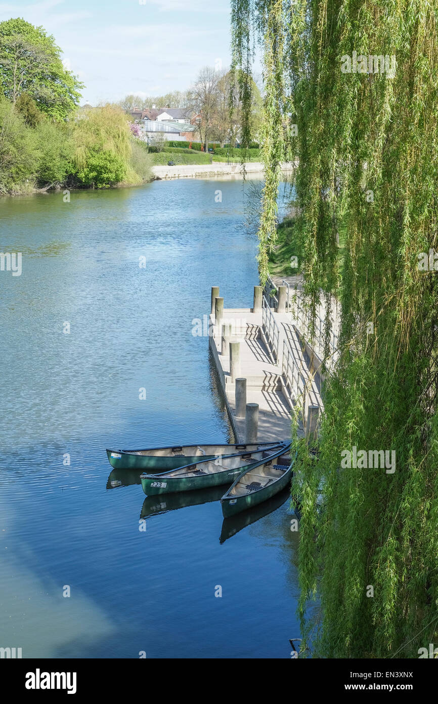 Shrewsbury, Shropshire: The River Severn und The Quarry Park ist ein beliebt bei Einheimischen und Besuchern nach Shrewsbury Stockfoto