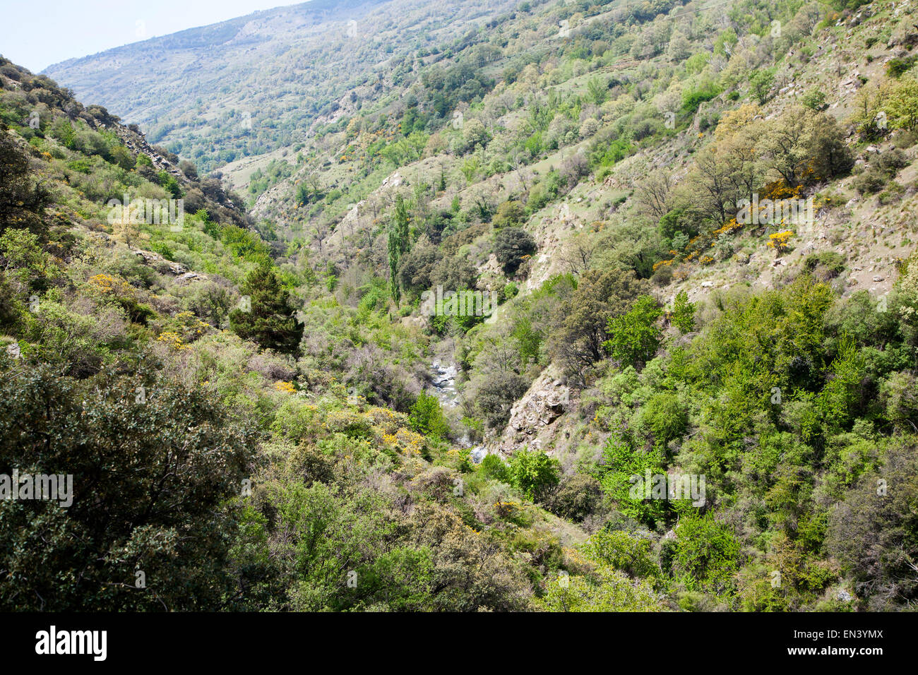 Landschaft des Flusses Rio Poqueira Schlucht Tal, hohe Alpujarras, Sierra Nevada, Provinz Granada, Spanien Stockfoto