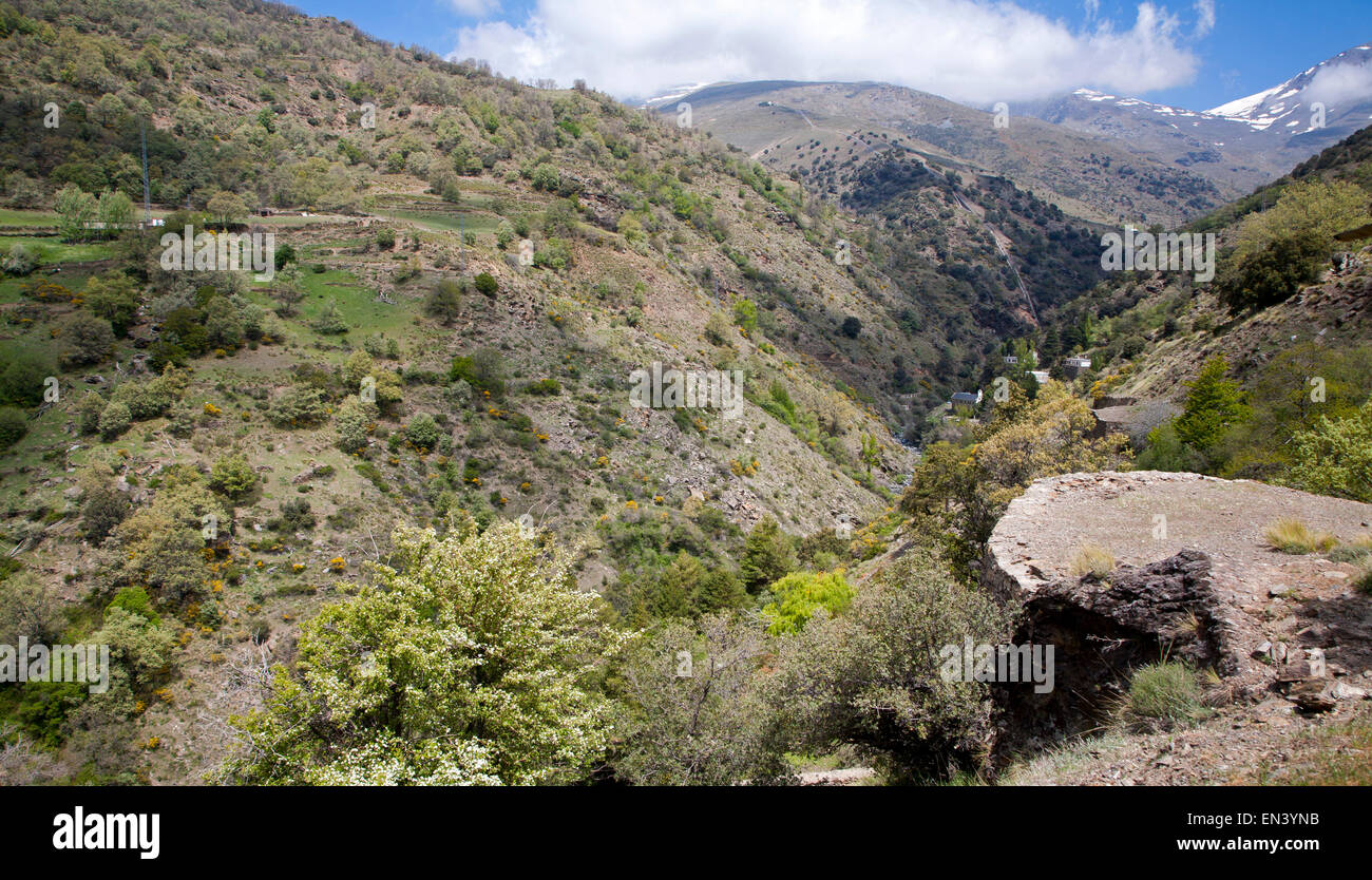 Landschaft des Flusses Rio Poqueira Schlucht Tal, hohe Alpujarras, Sierra Nevada, Provinz Granada, Spanien Stockfoto