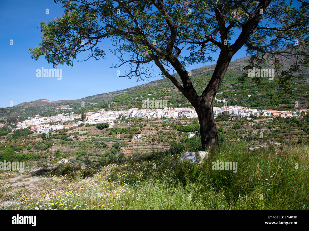 Stadt von Lanjaron, Alpujarra Bereich, Provinz Granada, Spanien Stockfoto