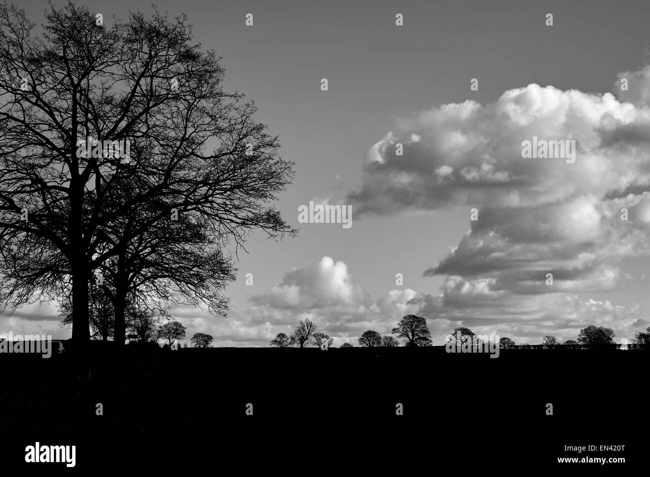 Außergewöhnliche Wolkenformationen, östlich von Ripon, North Yorkshire, Nordengland, UK Stockfoto