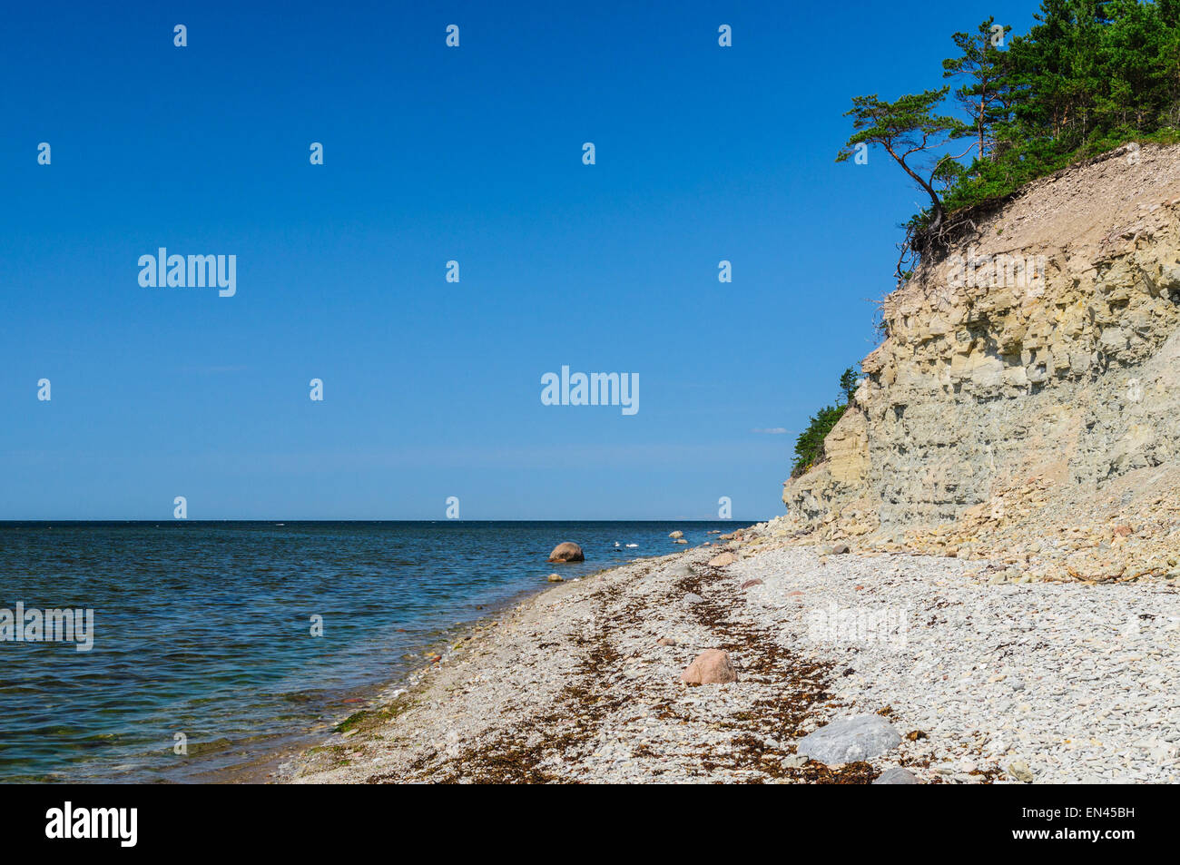 Sommer Blick auf Panga Klippe. Die Highestest-Bluff auf der nördlichen Küste von Saaremaa, Estland Stockfoto