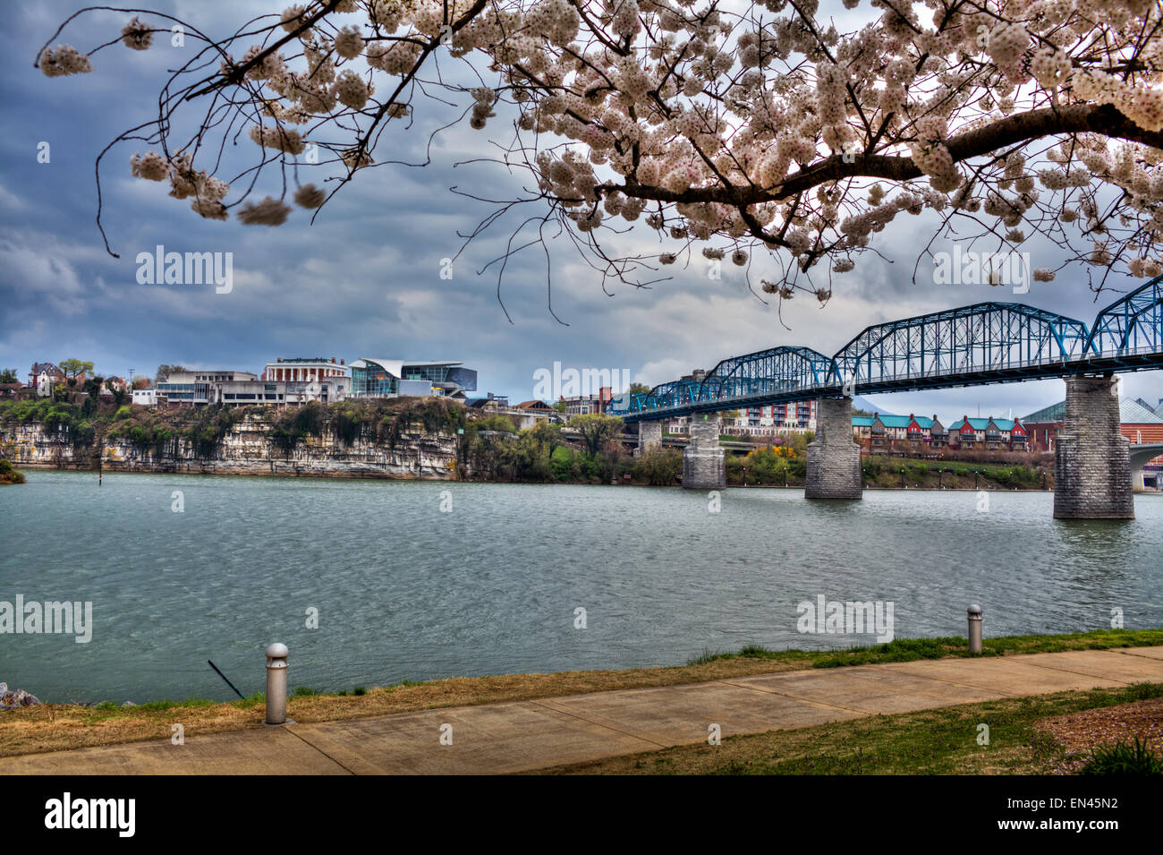 Chattanooga, Tennessee, USA, mit Walnut Street Bridge und Hunter Museum auf Bluff Ansicht. Stockfoto