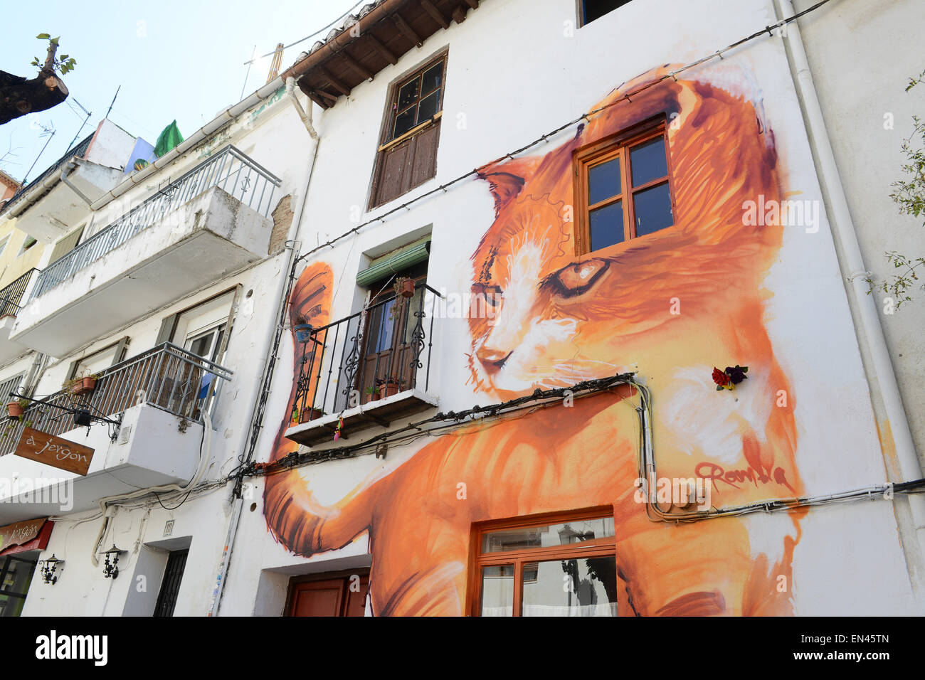 Malerei der Katze Haus Graffiti in Granada Spanien Spanisch Straße Kunst Malerei Stockfoto