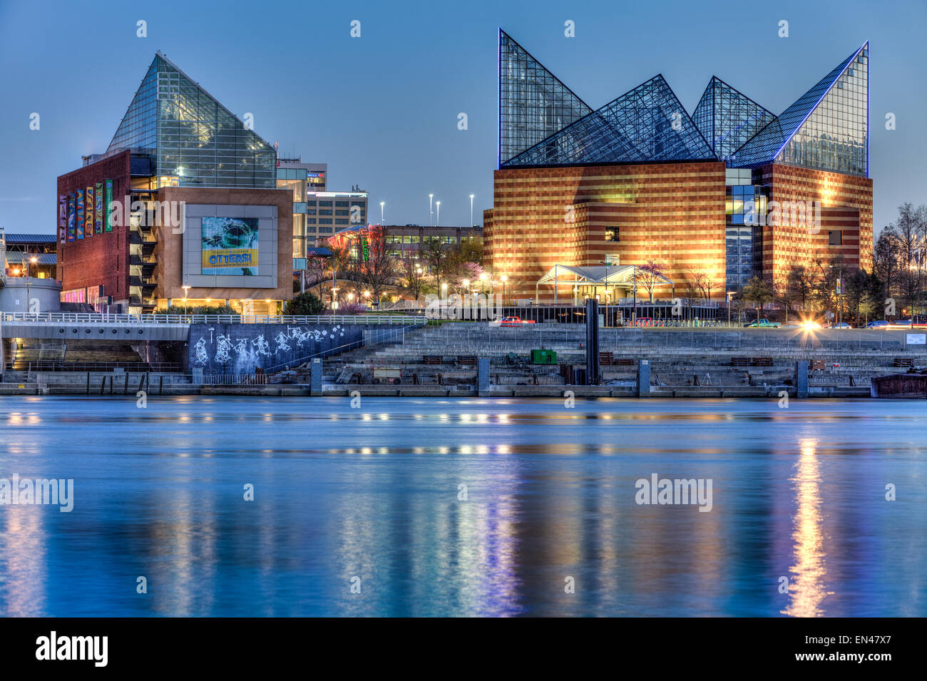 Tennessee Aquarium, Chattanooga, Tennessee, USA Stockfoto