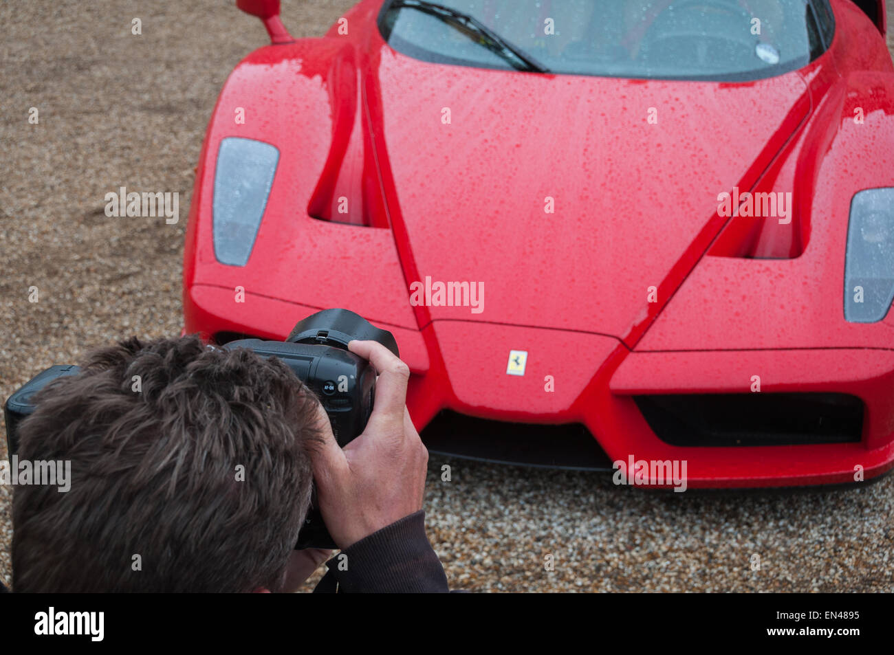 Ferrari Enzo bei der Ferrari-Besitzer Club Rallye in Blenheim Palace, Woodstock, Oxfordshire Stockfoto