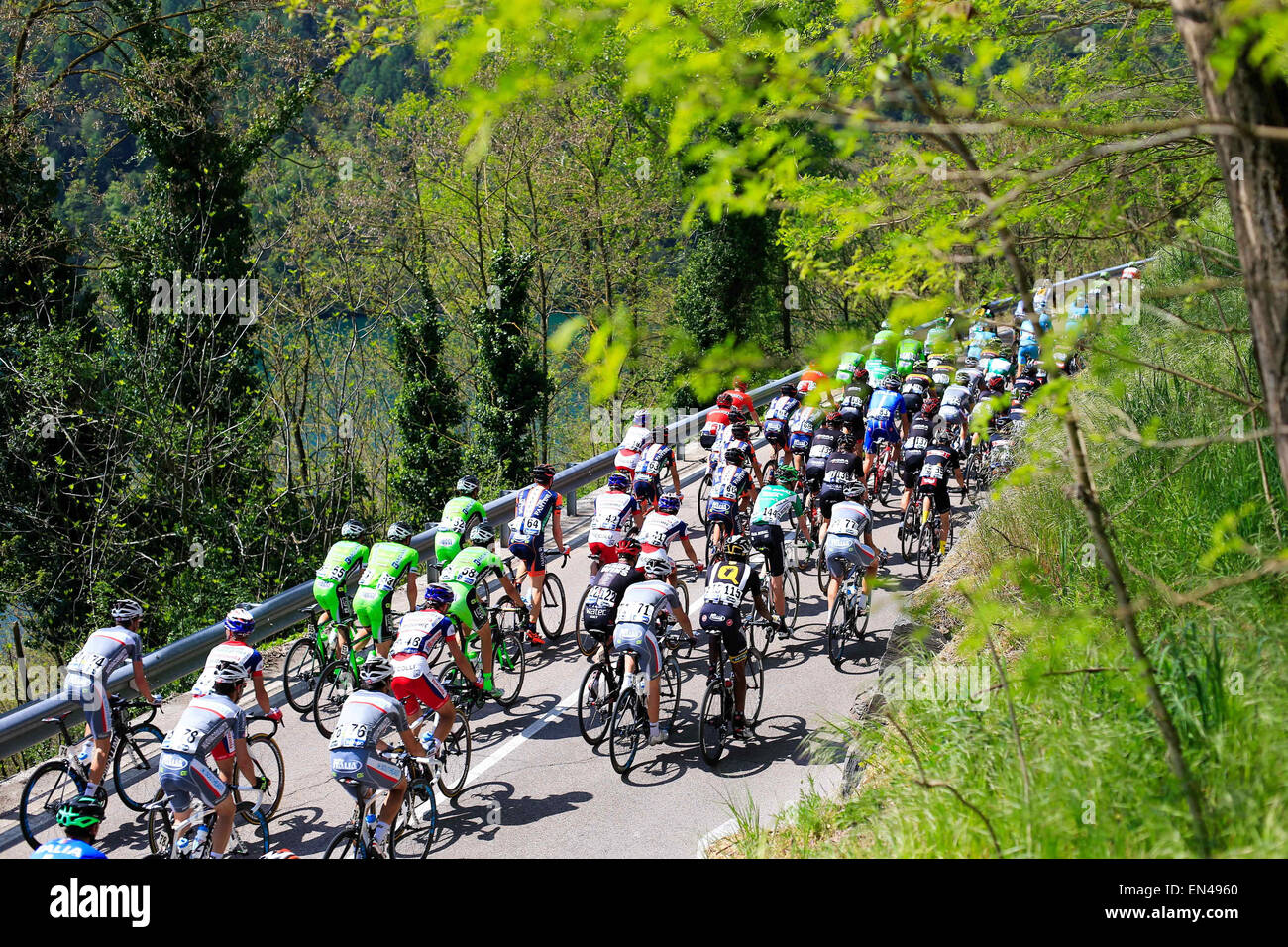 Abbildung Hauptfeld - 23.04.2015 - Tour du Trentin - Etape 03.the Foto Stockfoto