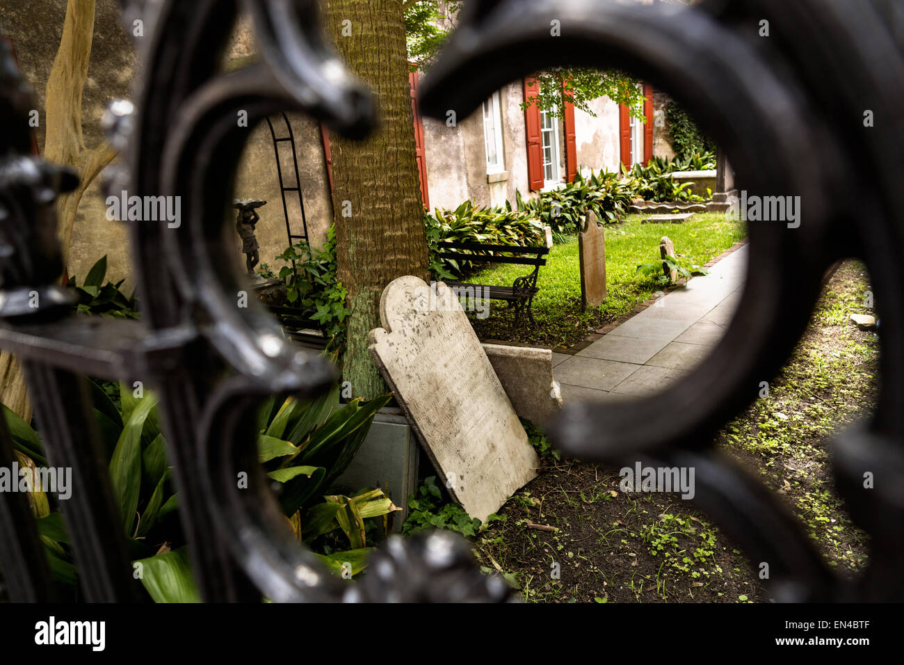 Ein Grabstein ruht auf einer Palme im Garten des französischen Hugenotten-Kirche entlang der Queen Street im historischen Charleston, SC. Stockfoto