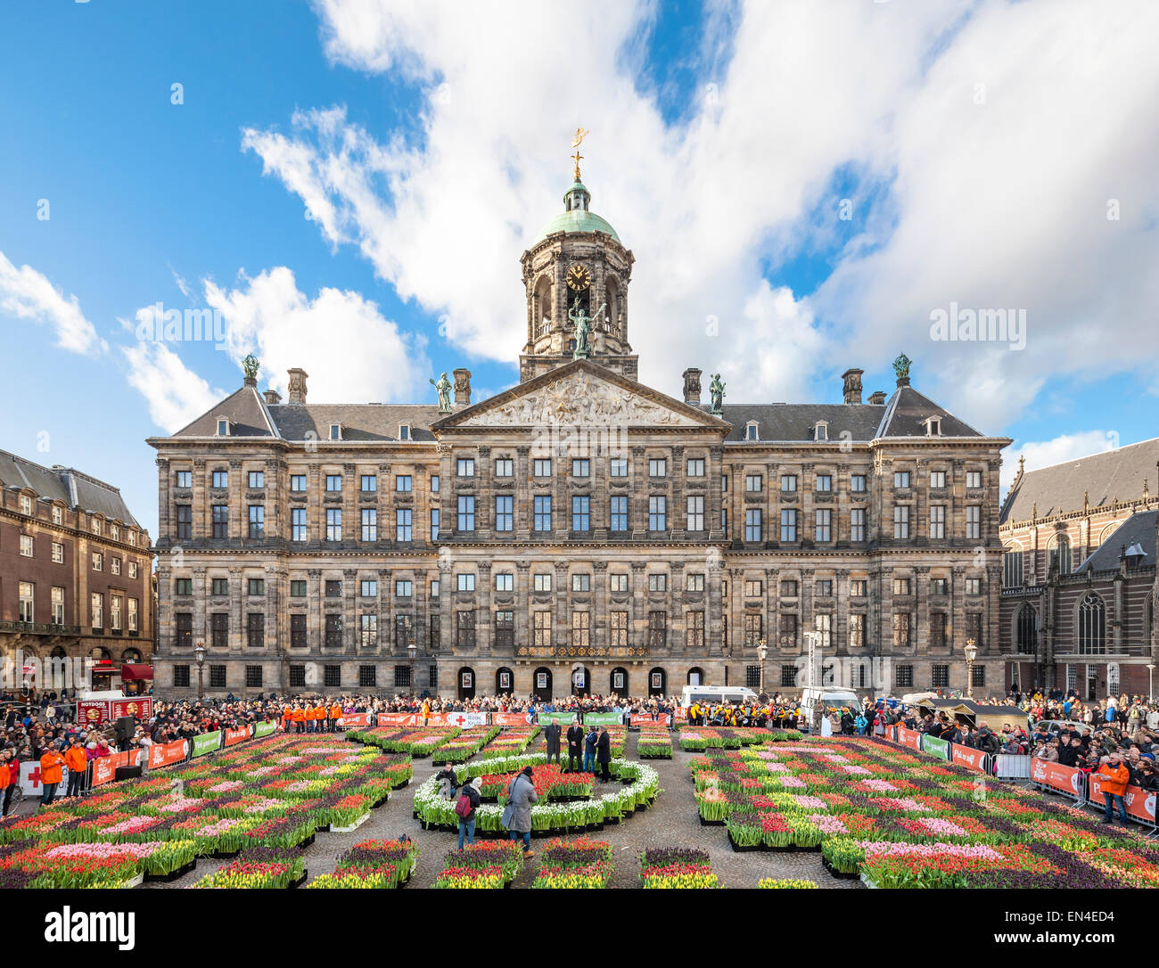 10.000 Besucher werden 200,000 Tulpen auf dem Dam in Amsterdam kostenlos abholen. Tulip Nationalfeiertag offizielle Tulip Saisonstart Stockfoto