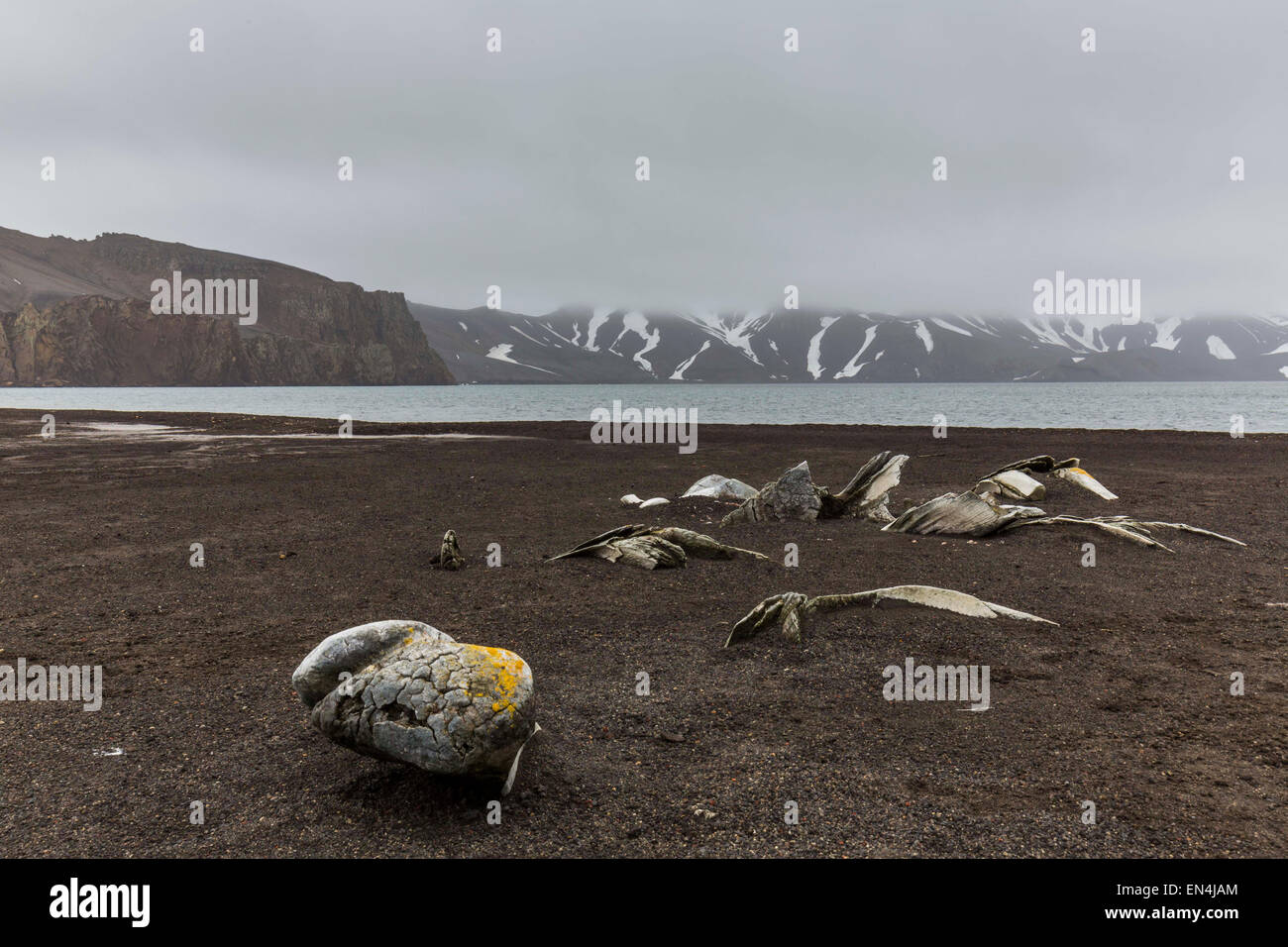 bleibt der Walknochen an Whalers Bay, Deception Island, Süd-Shetland-Inseln, Antarktis Stockfoto