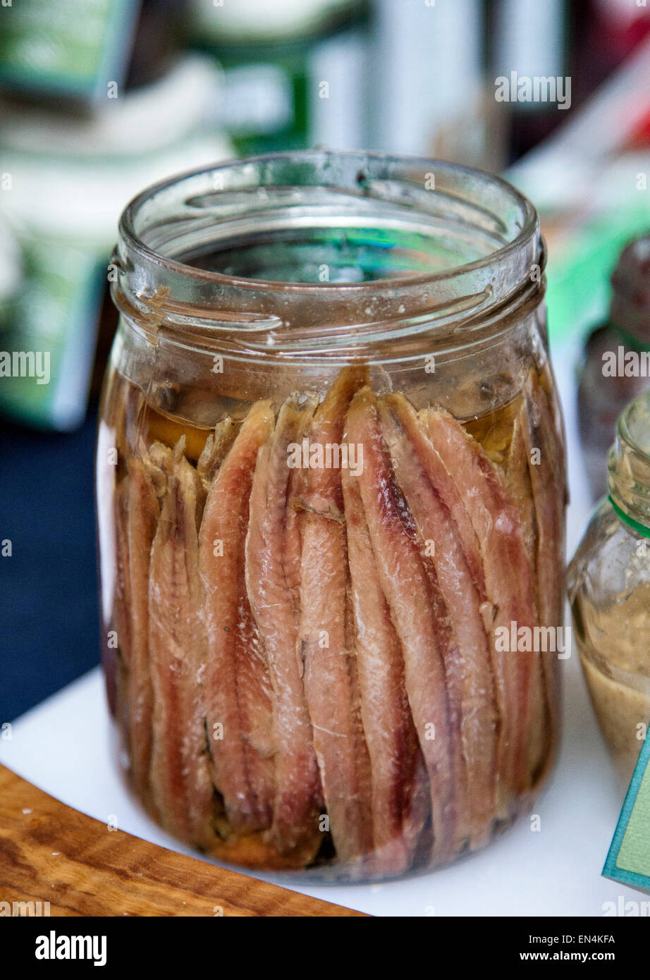 italienisches Essen, ligurische Küche, Sardellen in Öl Stockfoto