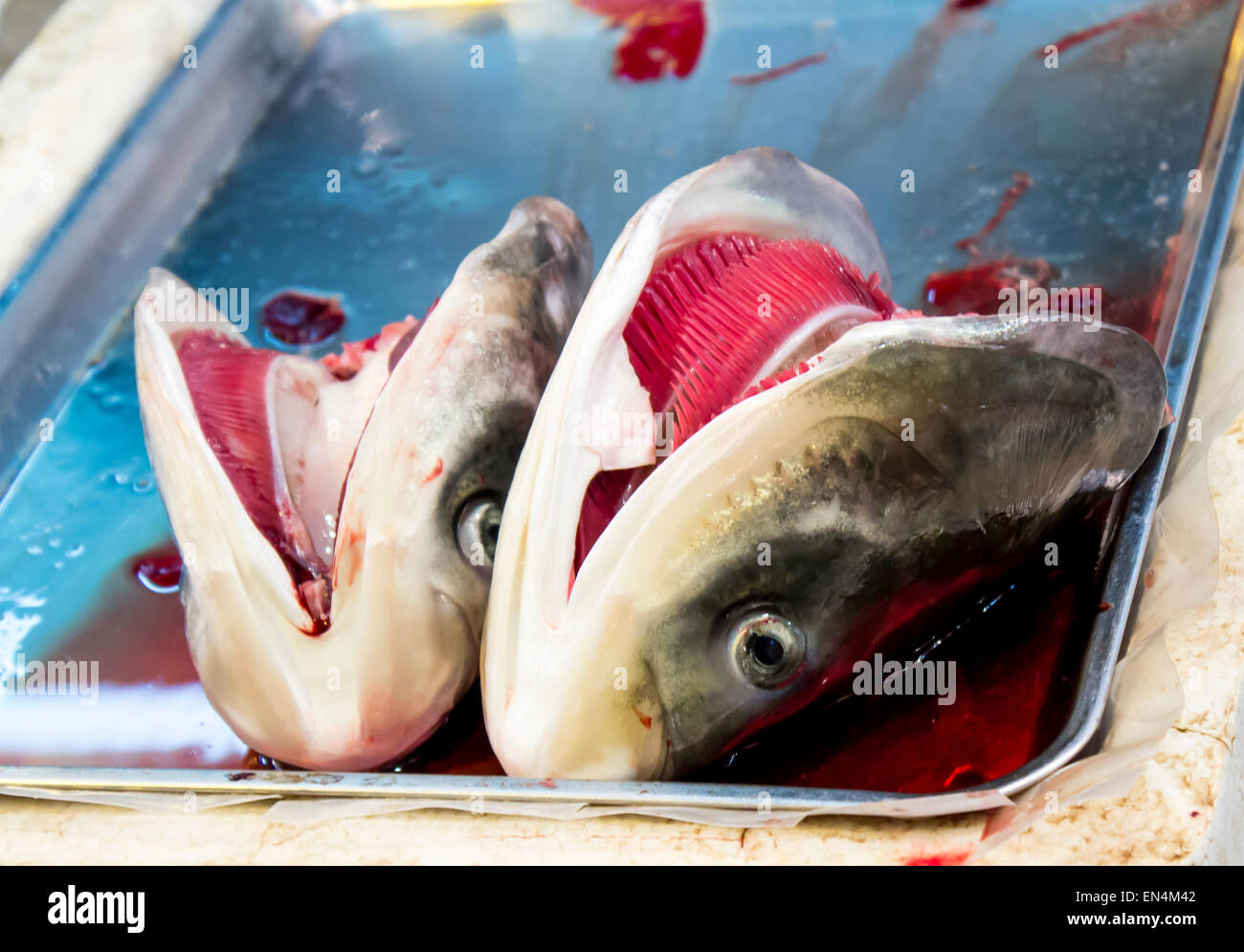 Nassen Markt Hong Kong China Fisch Kopfteile Zähne nass blutig schleimiger Schleim Blut verkaufen Verkauf Touristen Essen Asiatisch Fett hell Stockfoto
