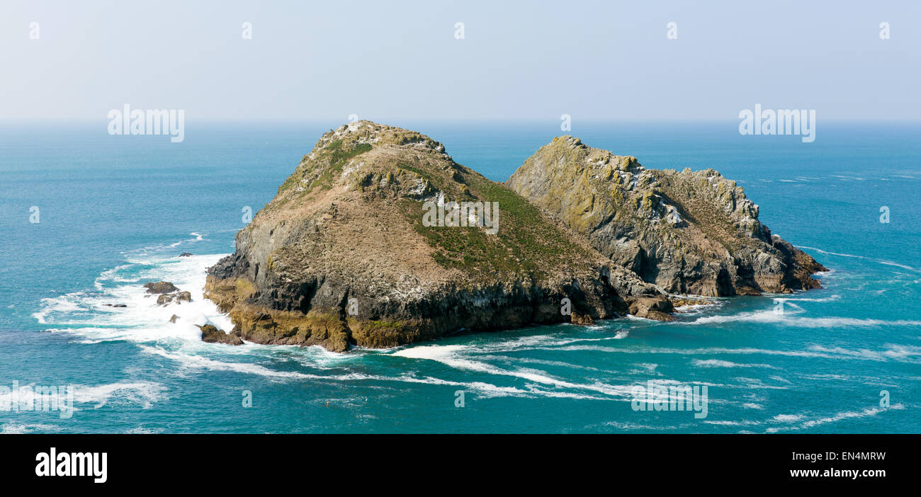 Carters Felsen Holywell Bay North Cornwall Coast England UK in der Nähe von Newquay und Crantock im Frühjahr mit blauem Himmel aka Gull Felsen Stockfoto