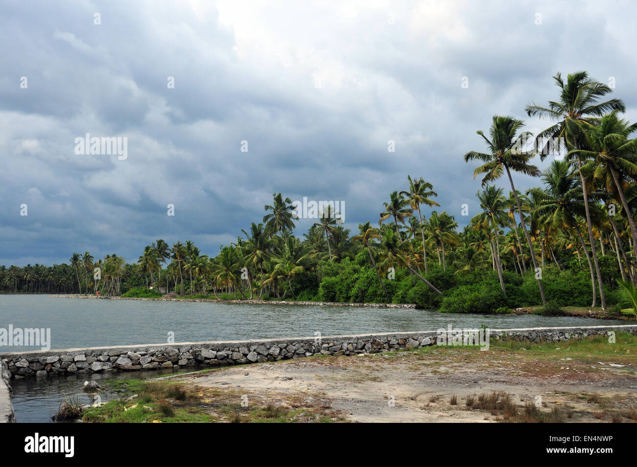 Natürlicher Grünton und Strand Stockfoto