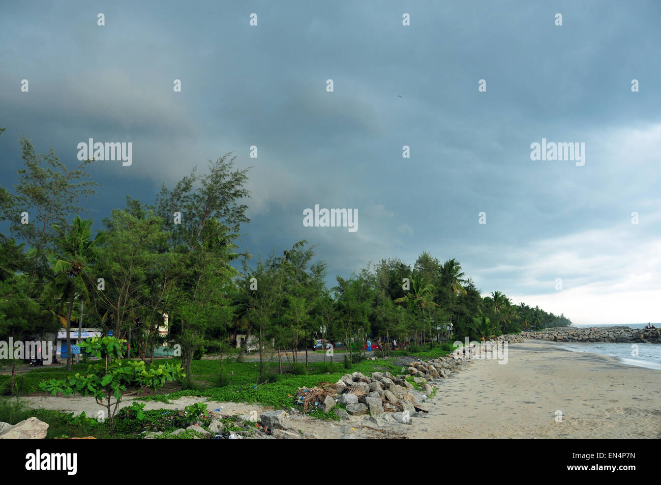 Natürlicher Grünton und Strand Stockfoto