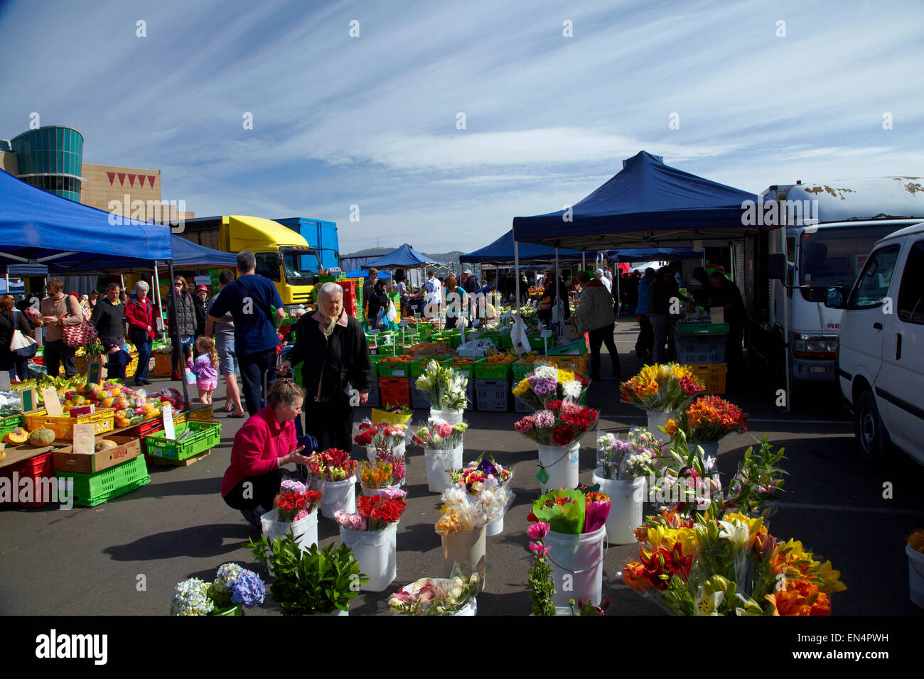 Blume-Stall an der Harbourside Markt, Wellington, Nordinsel, Neuseeland Stockfoto