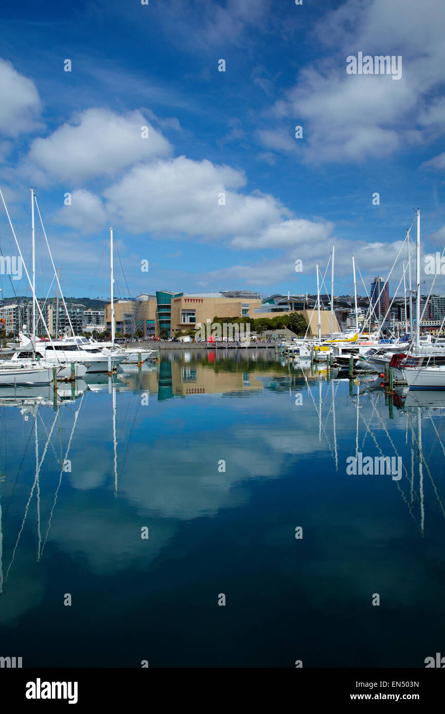 Chaffers Marina und Te Papa Tongarewa (Museum of New Zealand), Wellington, Nordinsel, Neuseeland Stockfoto