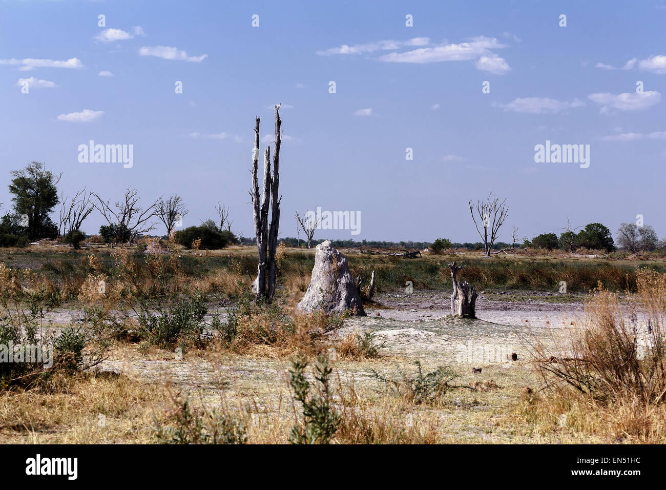 Afrikanische Landschaft Moremi Game reserve, Okawango-Delta, Botswana Stockfoto