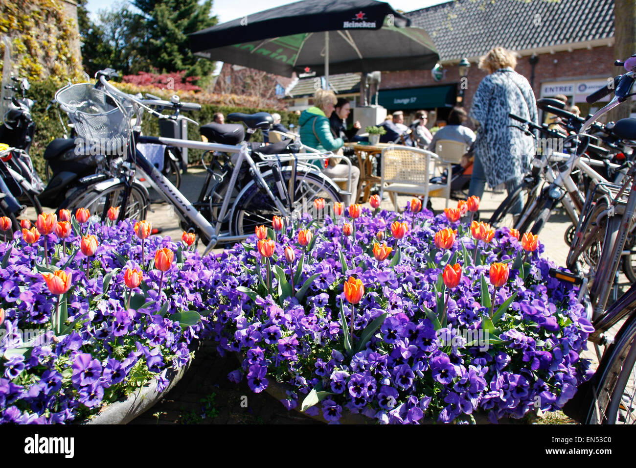 Orange Tulpen sind am Königstag in den Niederlanden gesehen. Stockfoto