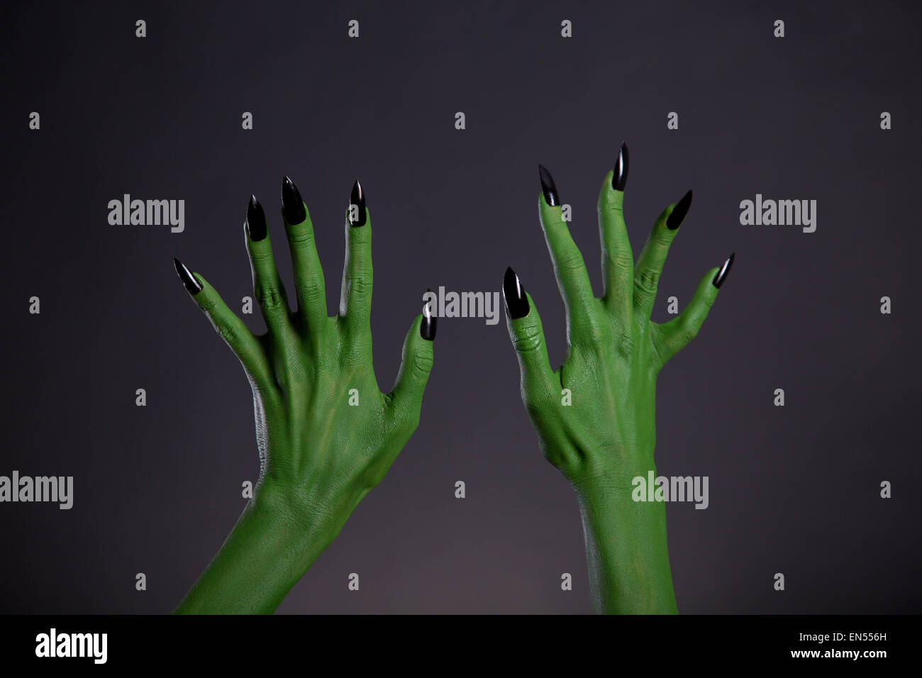 Grünes Monster Hände mit scharfen schwarzen Nägeln, Halloween-Thema, Studio gedreht auf schwarzem Hintergrund Stockfoto