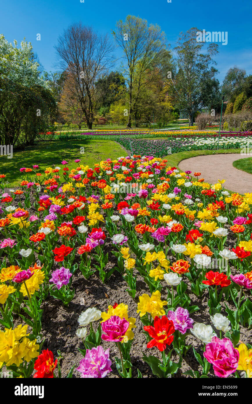 Botanischer garten der villa taranto Fotos und Bildmaterial in hoher
