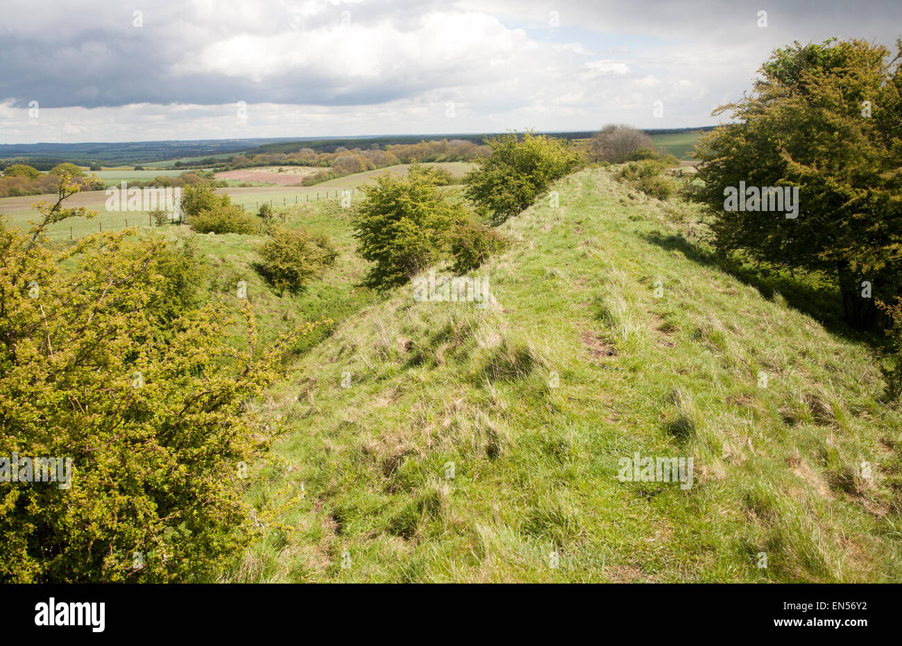 Graben und Bahndamm der Wansdyke sächsischen Verteidigungsbauwerk auf alle Cannings Kreide tiefen nahe Tan Hill, Wiltshire, England Stockfoto