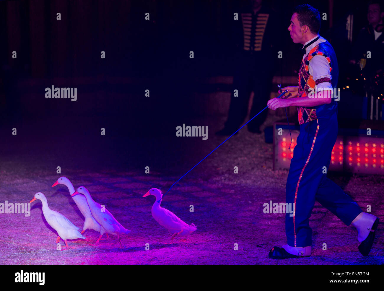 Leistung von Handlungen im niederländischen Zirkus Renz Stockfoto