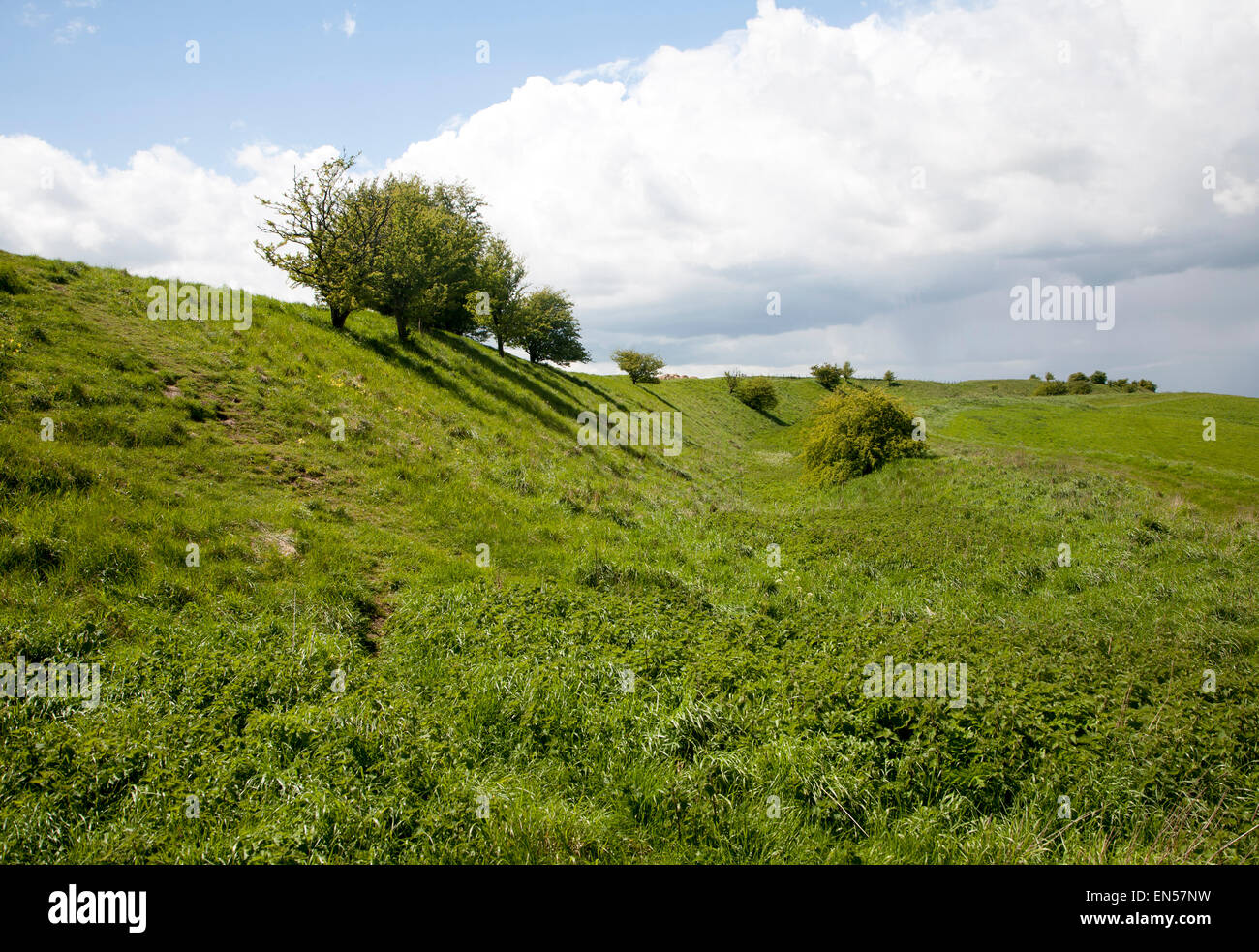 Graben und Bahndamm der Wansdyke sächsischen Verteidigungsbauwerk auf alle Cannings Kreide tiefen nahe Tan Hill, Wiltshire, England Stockfoto