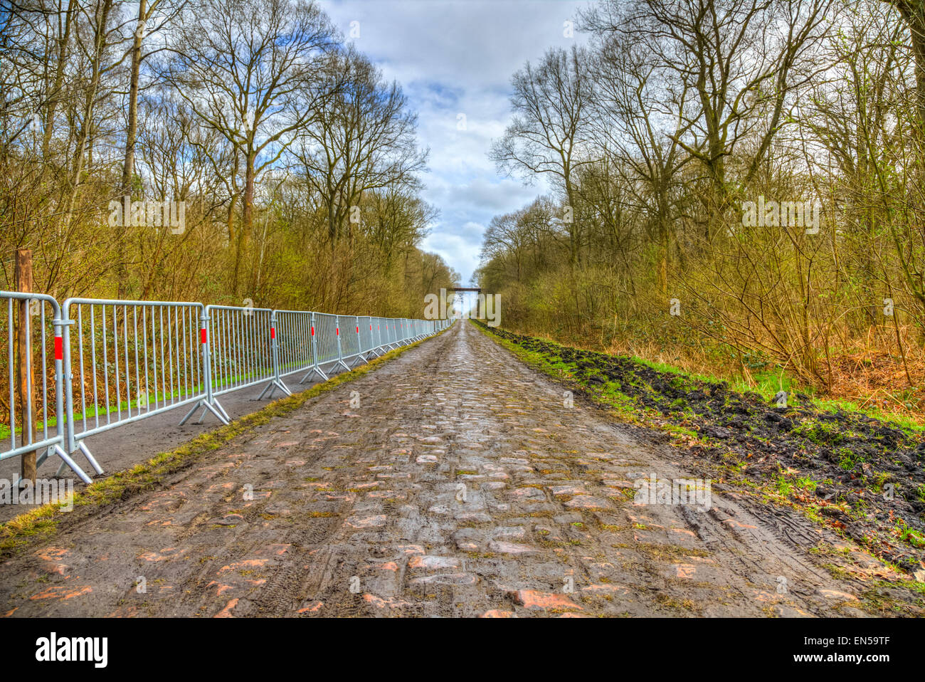 Bild der berühmten Kopfsteinpflaster Straße aus dem Wald von Arenberg (Pave d ' Arenberg). Stockfoto