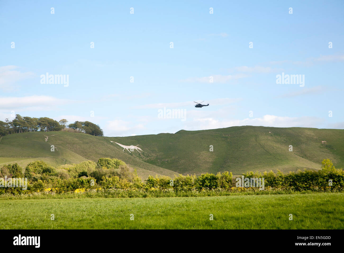 White Horse in Kreide Böschung Hang Cherhill, Wiltshire, England aus dem Formular 1780-Hubschrauber Stockfoto