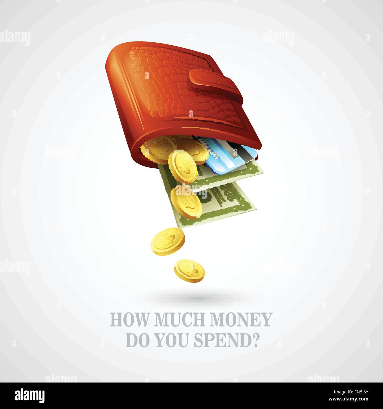 Geldbörse mit Geld, Kreditkarten und Münzen. Vektor-illustration Stock Vektor