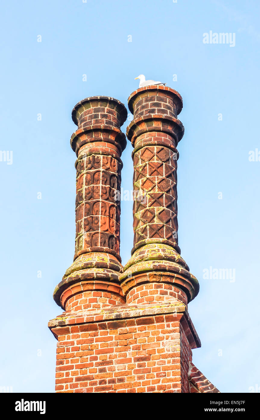 Eine Möwe sitzt auf einer mittelalterlichen gemauerten Schornsteinen auf Moot Hall, erbaut im Jahre 1520 in Aldeburgh, Suffolk, UK. Stockfoto