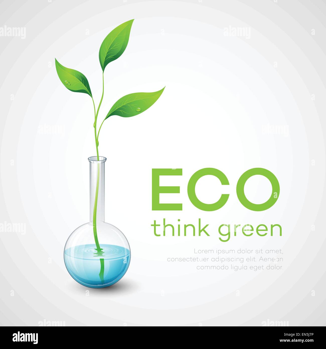 Zweig in der Flasche. Vektor-Illustration von ökologischen. Stock Vektor