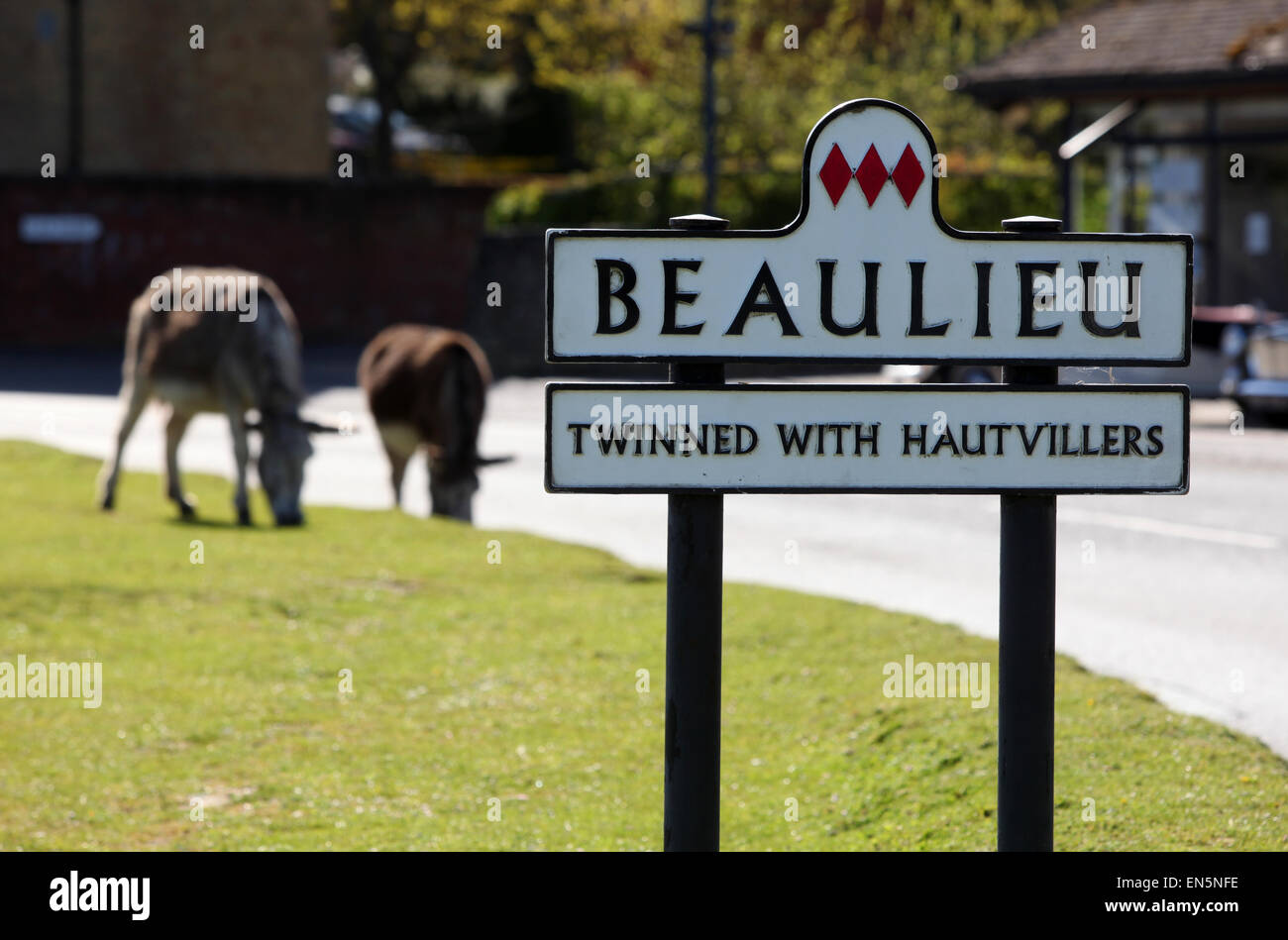 Beaulieu-Dorf in den New Forest Hampshire UK Straßenschild mit Eseln im Hintergrund Stockfoto