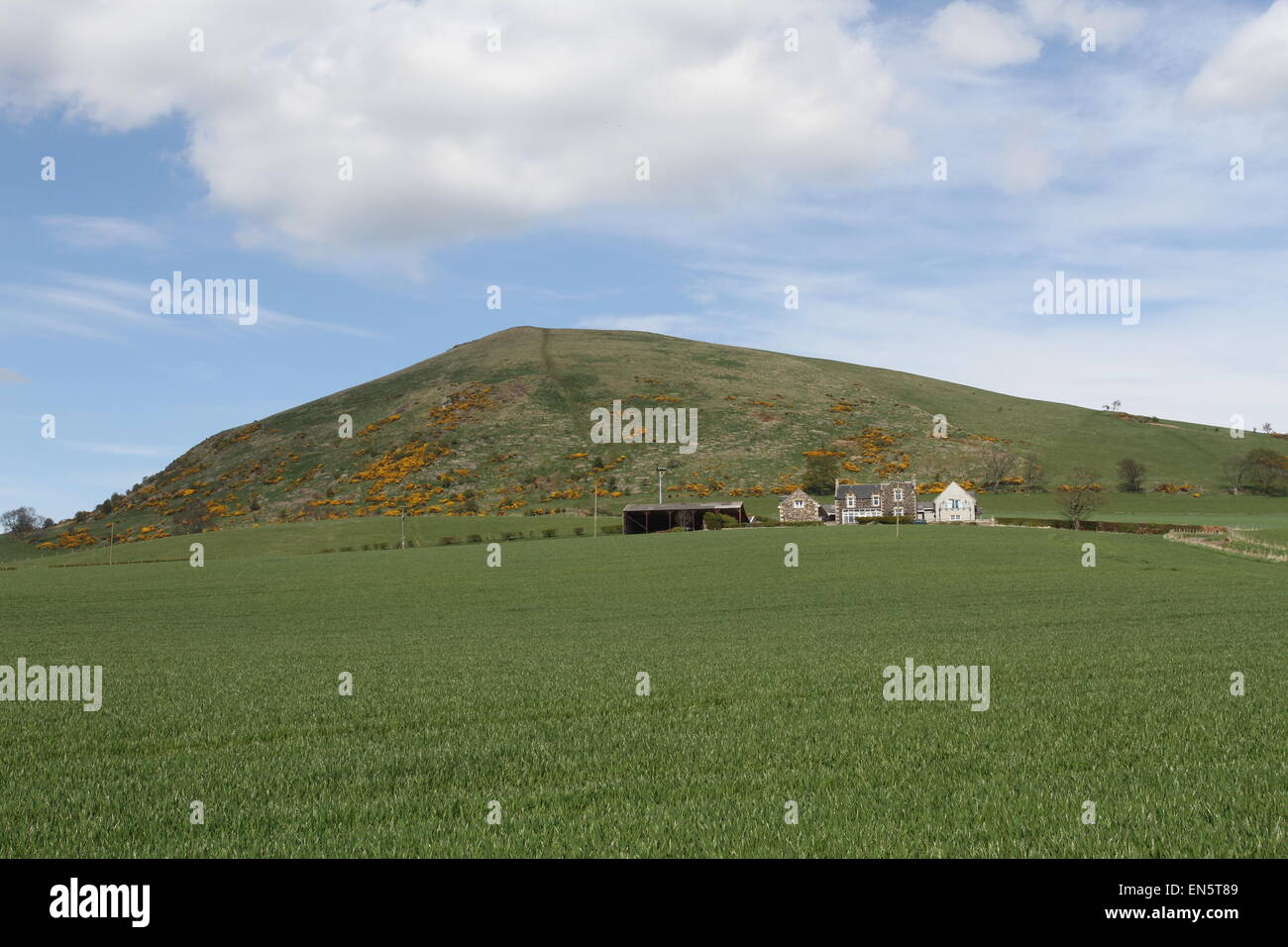 Largo Gesetz Fife Schottland April 2015 Stockfoto