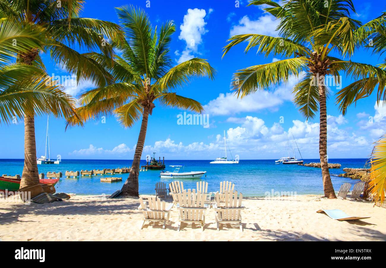 Schönen karibischen Strand auf der Isla Saona, Dominikanische Republik Stockfoto