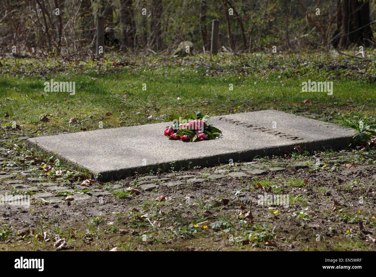 Blixens Grab mit frischen roten Rosen an einem sonnigen Frühlingstag auf Rungstedlund übermorgen ihren 130. Geburtstag. Stockfoto